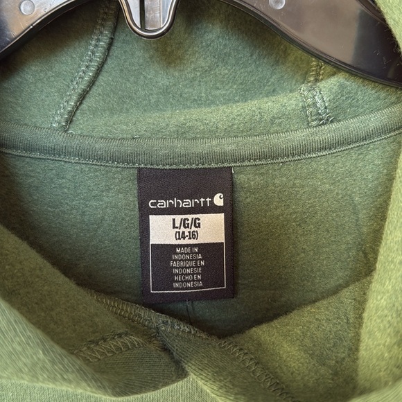 CARHARTT KIDS YOUTH LONG SLEEVE GRAPHIC Hooded SWEATSHIRT Green size Large 14/16 - Picture 3 of 7